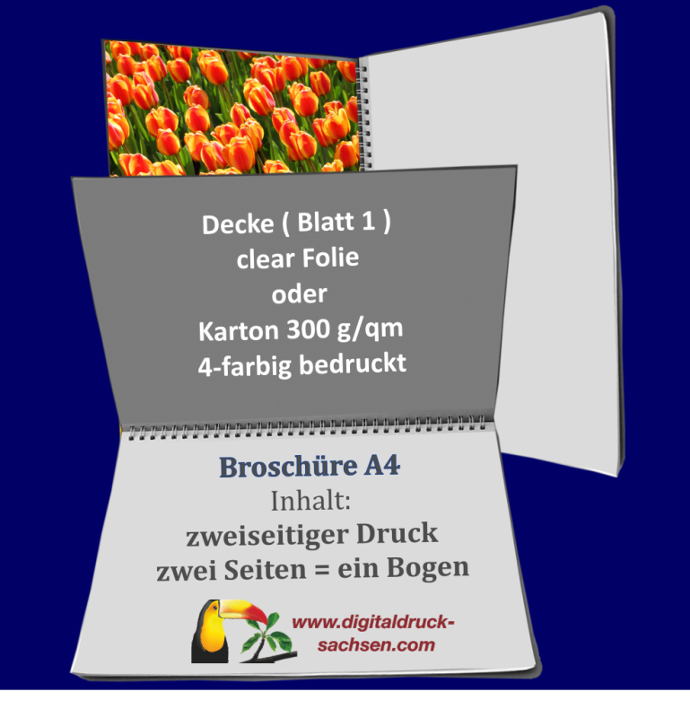 DrahtringbroschüreA4, 10 Seiten, Druck 4/4-farbig, Digitaldruckerei aus Sachsen